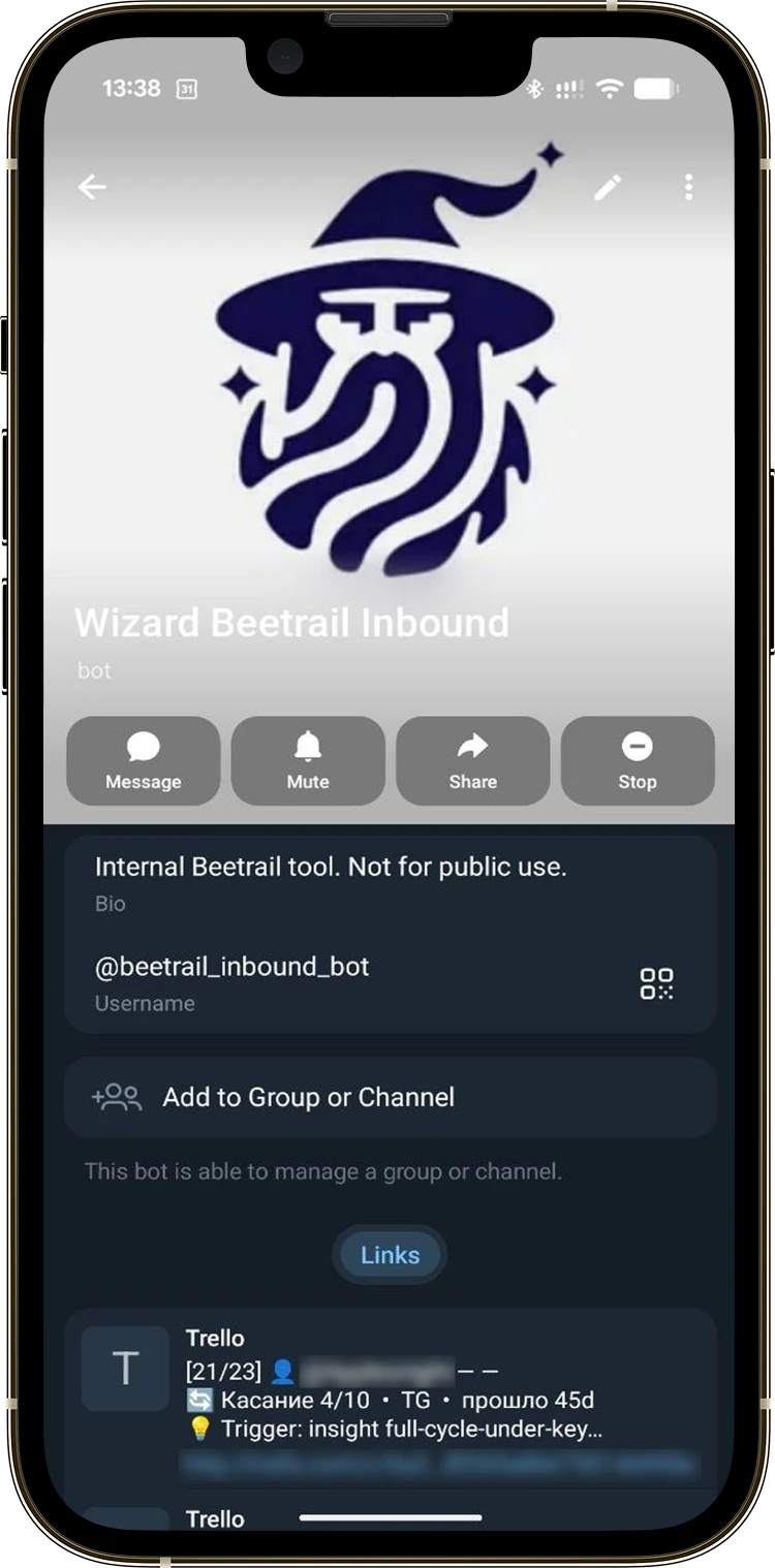 The Wizard AI Telegram bot profile screen