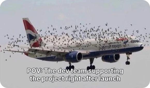 Airline mobile app support