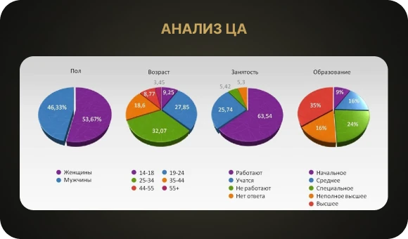 Анализ целевой аудитории