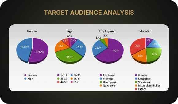 Target audience analysis